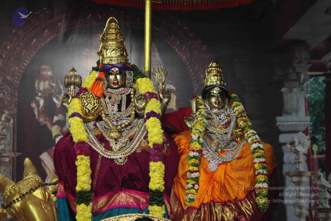 20101124 Photo 1112 1xJ5QgHA-z7KPkYx6uTkAM5X27YlHyTow.JPG