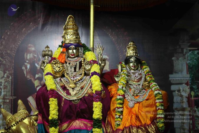 20101124 Photo 1113 1poIfUGxGak31FF1DWIGgcv2iPSmF1JVK.JPG