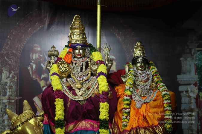 20101124 Photo 1114 1qETmS5hjne wss9sIPeFAtzDX96GuwIK.JPG