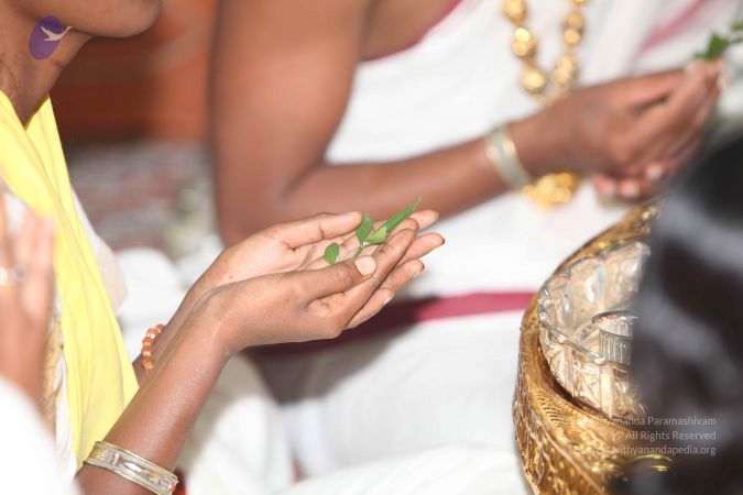 20101124 Photo 1128 1YrM0wARpZIcwv8eUY6dWK38kpKmeWoo0.JPG