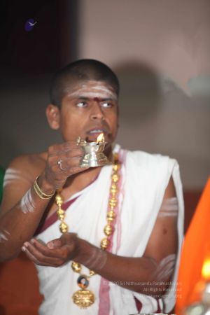 20101124 Photo 1148 1M4iTvc0k6i2rSbRm-RJjELa0LXsuLBlh.JPG