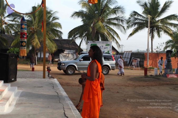 20101125 Photo 1067 1gpKWRn5-4ZwiLe2Kvp4nwmXy9Tf-fbGM.JPG