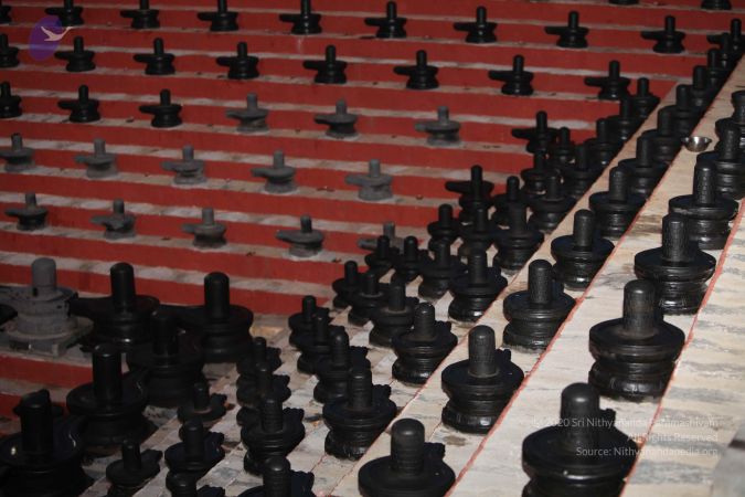 20101202 Photo 1453 1oxS-rTnu7IG5cFyeC7mCH8cB8pA3ygsf.JPG