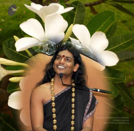 20101203 Photo 1056 1cMbVpoMevnrGmlj3D0c9g9TrPdnf-T6X.JPG