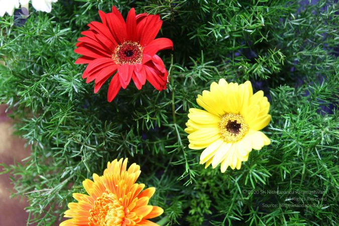 20101206 Photo 1022 1iXAdT6jG553HKidFd 5UAUvmHy6rpklV.JPG