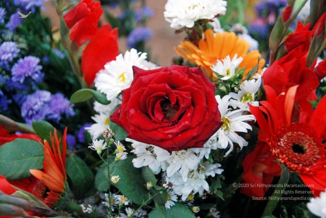 20101216DSC 1405 CMP WM1111.jpg