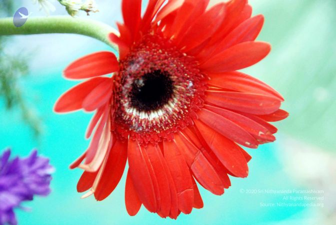 20101216DSC 1428 CMP WM1111.jpg