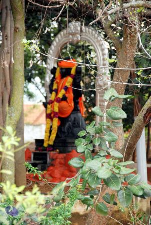 20101216DSC 1500 CMP WM1111.jpg