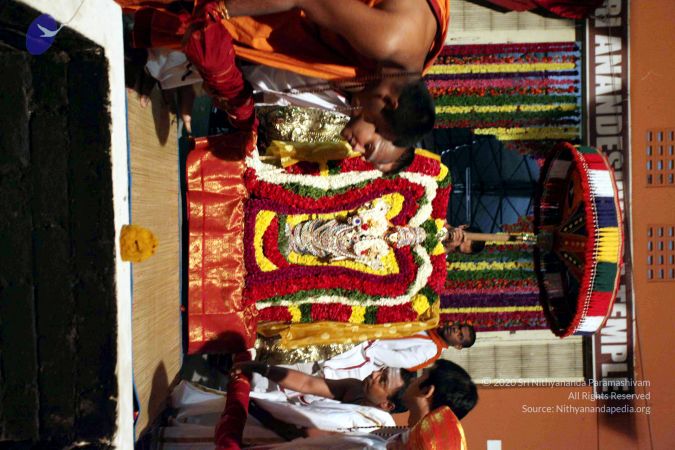 20101217 IMG 3106 CMP WM01.jpg