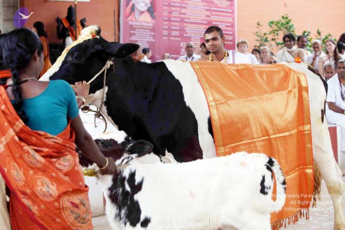 20101219IMG 6187 CMP WM0010.jpg