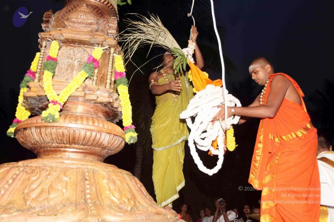 20101220IMG 6677 CMP WM0010.jpg