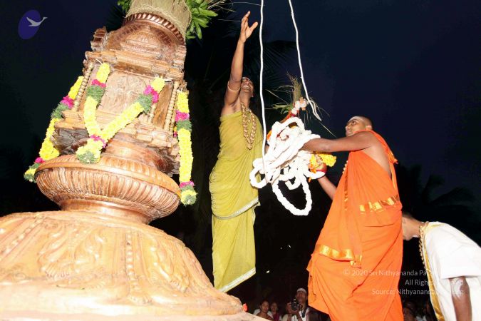 20101220IMG 6686 CMP WM0010.jpg