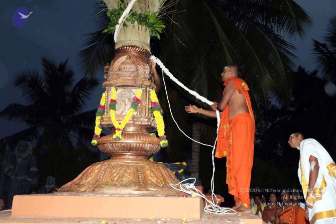 20101220IMG 6733 CMP WM0010.jpg