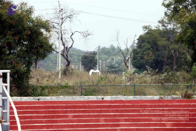 20101220IMG 7382 CMP WM01010101.jpg