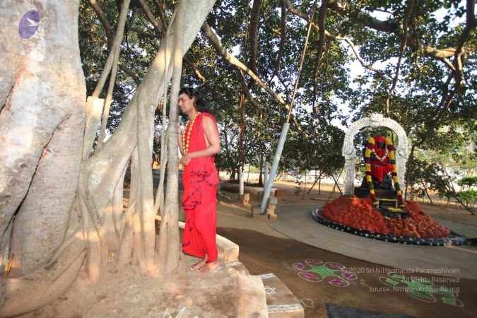 20101222 Photo 1105 1iQaLzWhbs6J6HU0l5GZL7vs5xaPt152l.JPG