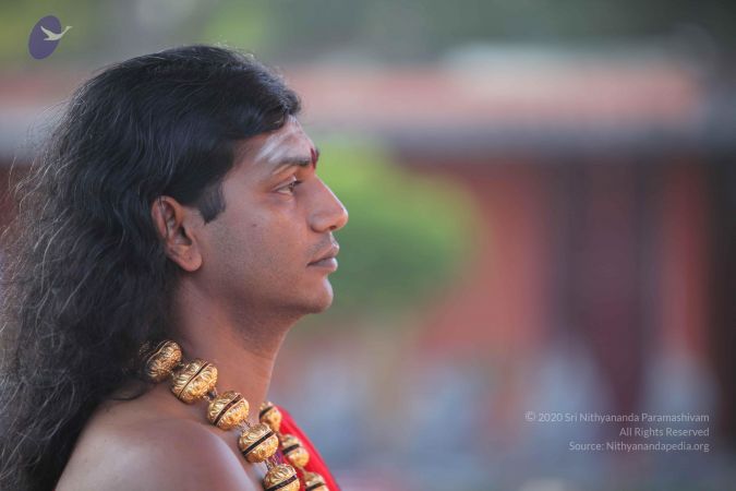 20101222 Photo 1201 13sz54jw9RDj4MslY1gfWCysS3c9PVmbM.JPG