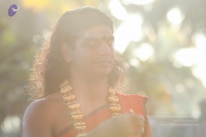 20101222 Photo 1247 1cn01HAeHLnQ3ipM4VQKn9o-XrC0s6hzR.JPG