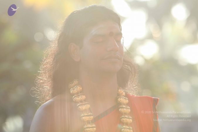 20101222 Photo 1248 1v-igdiOemmSGEENKcxB3fgedmG31Zt1k.JPG