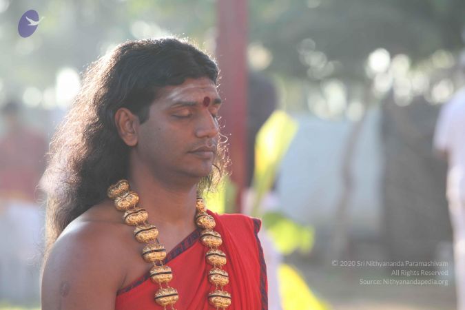 20101222 Photo 1324 11pwq6dlpWGxQTIk5Hc403WhNF7V3CewT.JPG