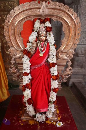 20101222 Photo 1653 1tMtCrxx9nee-kUHfGLQ4kJH6fYQa7NLG.JPG