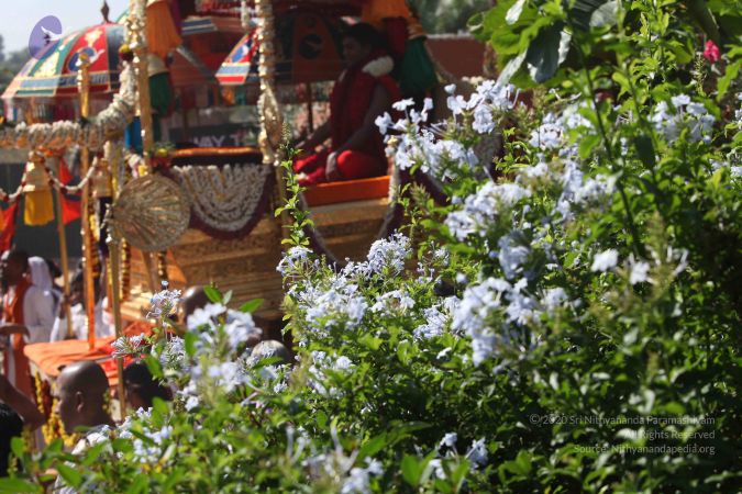 20101222 Photo 1956 13wUonmWTf1jzf221TJm3K56GEQd0o3kc.JPG