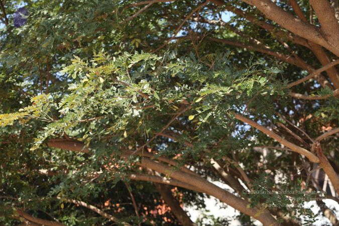 20101222 Photo 2053 1T0YEtiw8uq397cZp-tNXcdrJdXGkmcPK.JPG