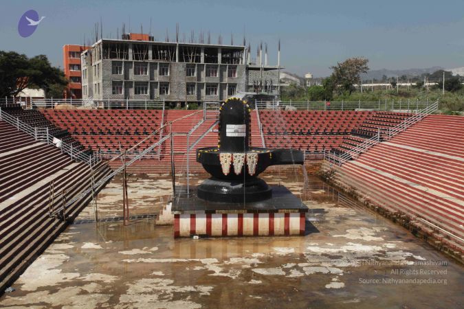 20101222 Photo 2151 1saF0FSswnMadOKRCgJS7L1uReceriMur.JPG