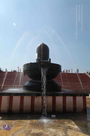 20101222 Photo 2158 1MeKkbvNfFXqCURsECXsrwOT JJmZc y7.JPG