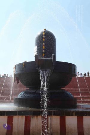 20101222 Photo 2160 1gyp5eo8gC4C7QoWSNENm7wymgal61TNF.JPG