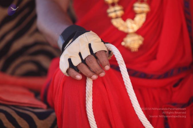 20101222 Photo 3412 1260nZ1Y16Q5j0XumNpbZEJ42MlvmITE1.JPG