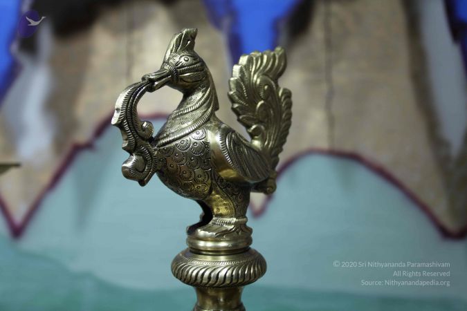 20101222 Photo 3703 1P7ZCE718WWnZ5zen74uIAkxdaigw3zU2.JPG