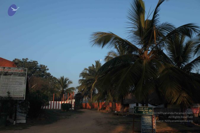 20101223 Photo 1052 1nUzN6APGGhXf-IeelRmNDybKTt34dLDQ.JPG