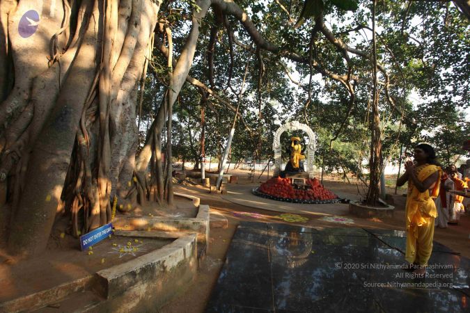 20101223 Photo 1213 17hHmqmLSi5XIhHhaCgVeeOyGVyn-vs9I.JPG