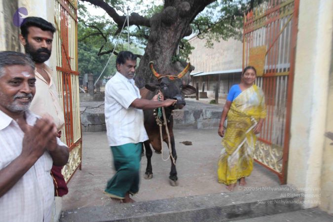 20101229 Photo 1555 1Hl0XFbV7wW6hXsB6Oqr5CMF-w4qdDBiJ.JPG