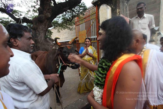 20101229 Photo 1557 1INM1w1qwqblB-eDcLSdBUA7DCSZa9nan.JPG