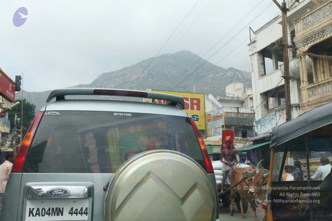 20101229 Photo 1676 1D0q8e6toPkFYMShGeMHYkyhxZxH7GKvY.JPG