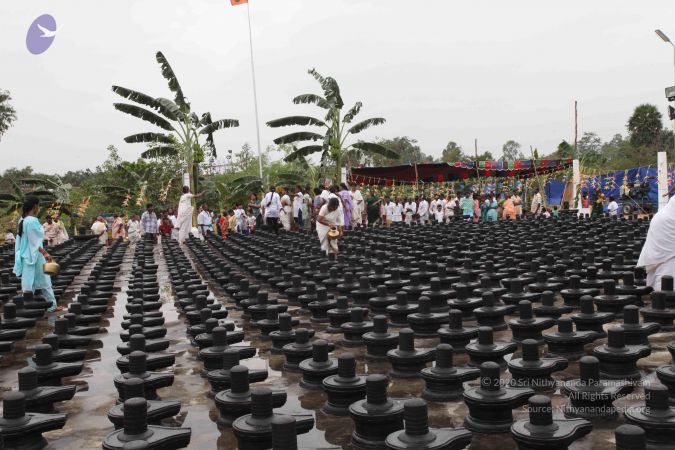 20101229 Photo 1926 1dc8YBhXVStLX5WL5rKSIk6ng7KatAuZ6.JPG