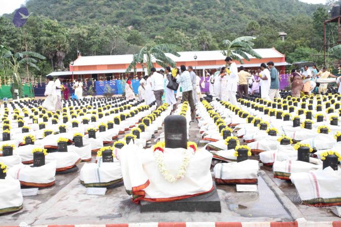 20101229 Photo 1988 1BsQ0Xt188f3rVQy QHze9whjTaabrg9q.JPG