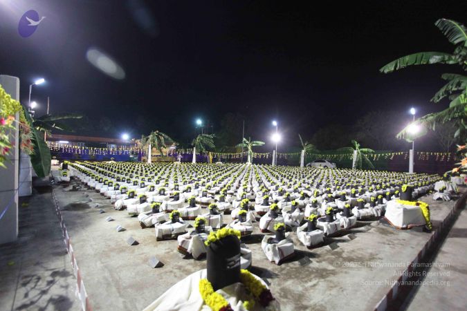 20101229 Photo 3213 1r0HX1jbBQVIBNZZT4dkGQfqZVA8qBhIM.JPG