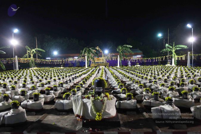 20101229 Photo 3216 1qxHPZ rDgtJzXiczcdiNMxdk6gISZ2Sl.JPG