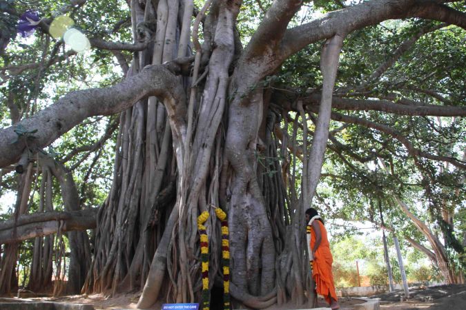 20101229 Photo 3228 1BlI1n4RzmkRkAvZPb3g0VouuE8vZF NB.JPG