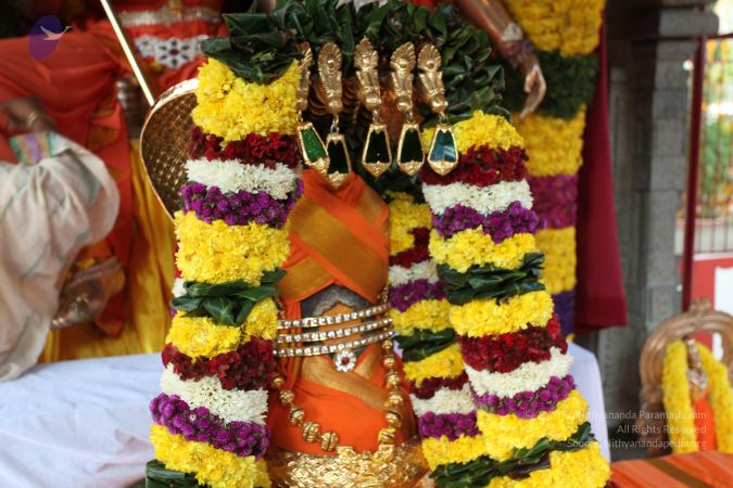 20101231 Photo 1163 17rVNwdnh0QXG-6V4J6PC2h1vr2hotkFT.JPG