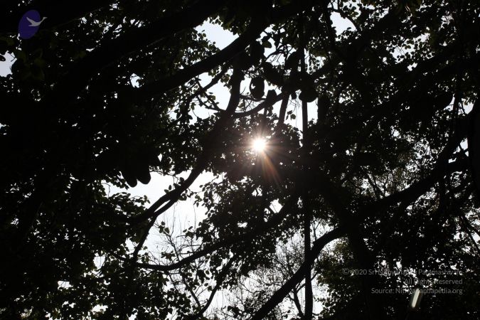 20101231 Photo 1222 1rNpXOFiZiBUylPIWkOPT4VVuO9Rm1MWH.JPG