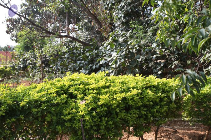 20101231 Photo 1224 19dSkjU6B83kt OL-9LilvEu5e988Mnfo.JPG