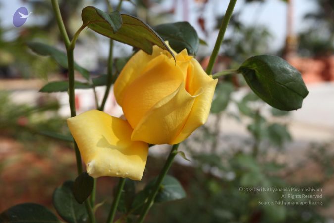 20101231 Photo 1237 1mmcFmfGRwOlxqCLDqYWg yXqBDtLuViv.JPG