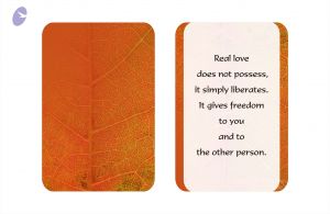 2010 DesignDepartment Photo 2 1uF4fJXovmoi7X8fXGRiV6vaoL6b-YrQm.jpg