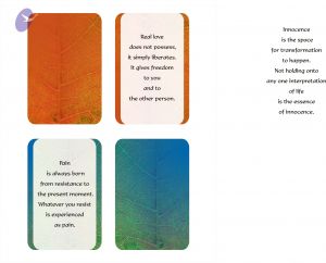 2010 DesignDepartment Photo 3 1XlAyW7BxEoWtO6WSjWD- MXMxVxBQyYd.jpg