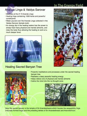 2010 DesignDepartment Photo 4 10OPch6GmcXYX9wLVGfbCWt8m5UyTlsJg.jpg