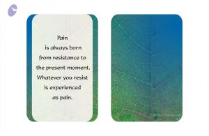 2010 DesignDepartment Photo 5 1LXDzowLE7TUajPQs7w8oA uLnYX1XsxD.jpg