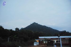 2010 PhotoAbum 5662 CMP WM.jpg